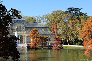 Privado: Paisaje de la Luz Básico a pie