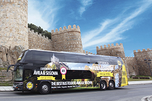 Excursión Ávila y Segovia